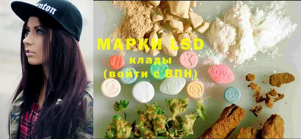 соль ск Семилуки