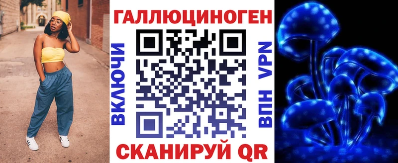 Купить где  Хабаровск  Псилоцибиновые грибы Psilocybe 